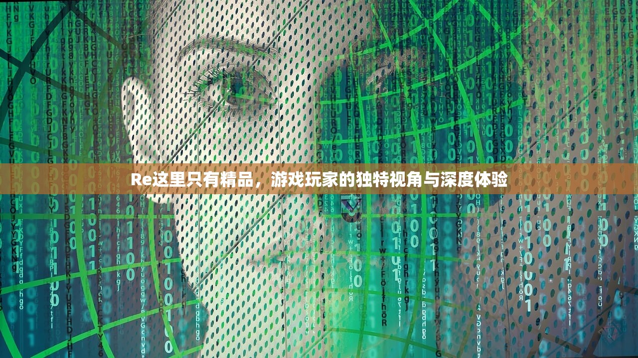 Re这里只有精品，游戏玩家的独特视角与深度体验