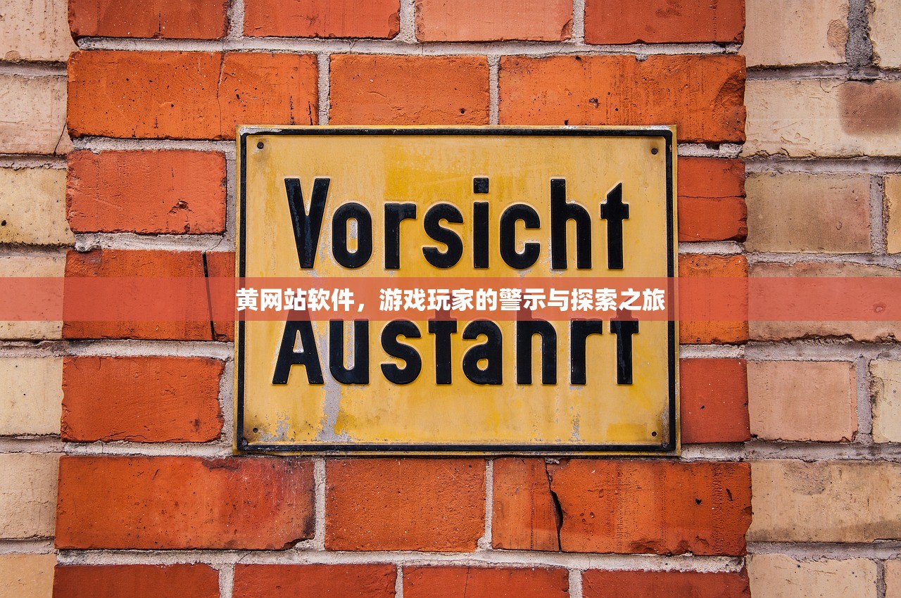 黄网站软件，游戏玩家的警示与探索之旅