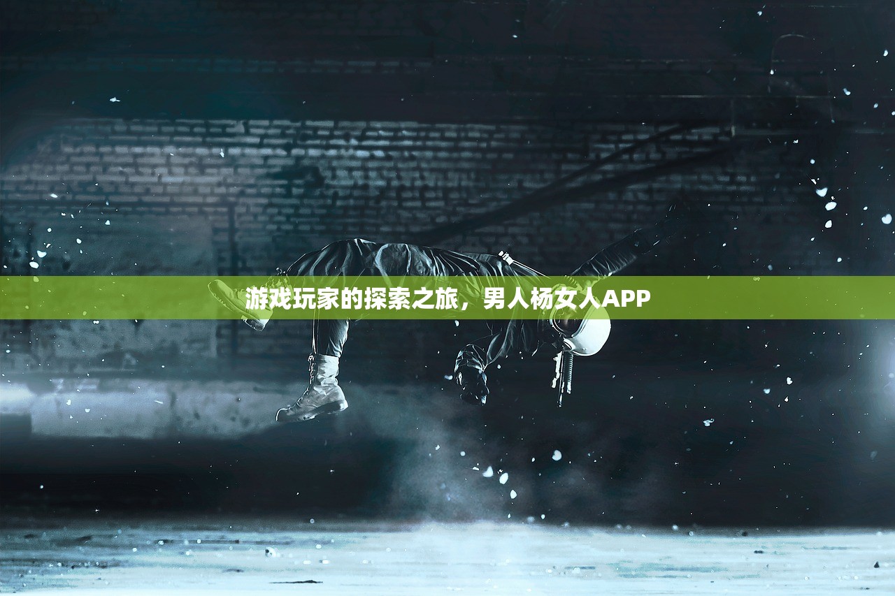 游戏玩家的探索之旅，男人杨女人APP