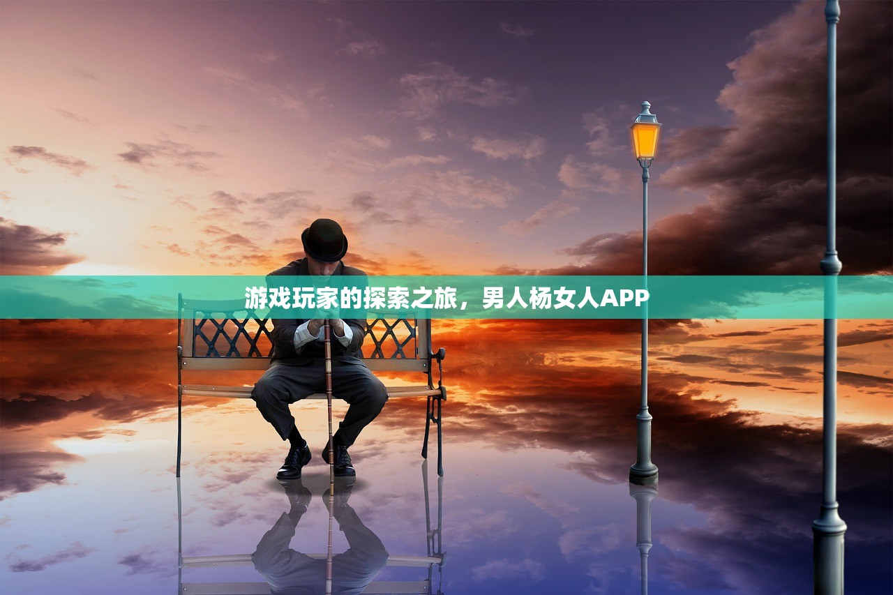 游戏玩家的探索之旅，男人杨女人APP
