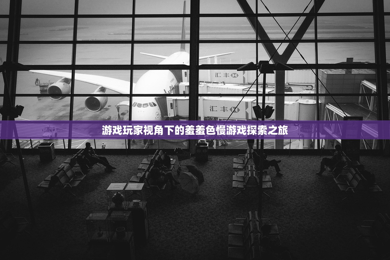 游戏玩家视角下的羞羞色慢游戏探索之旅