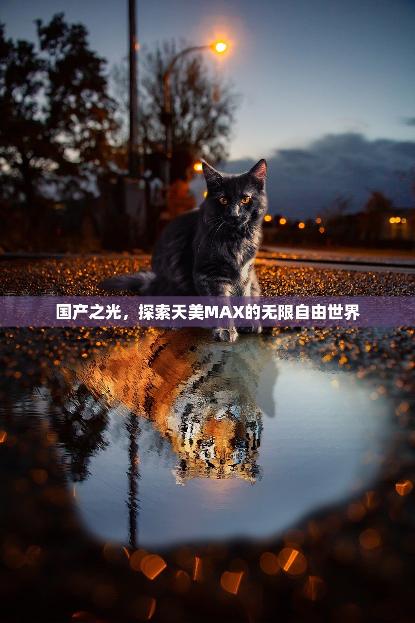 国产之光，探索天美MAX的无限自由世界