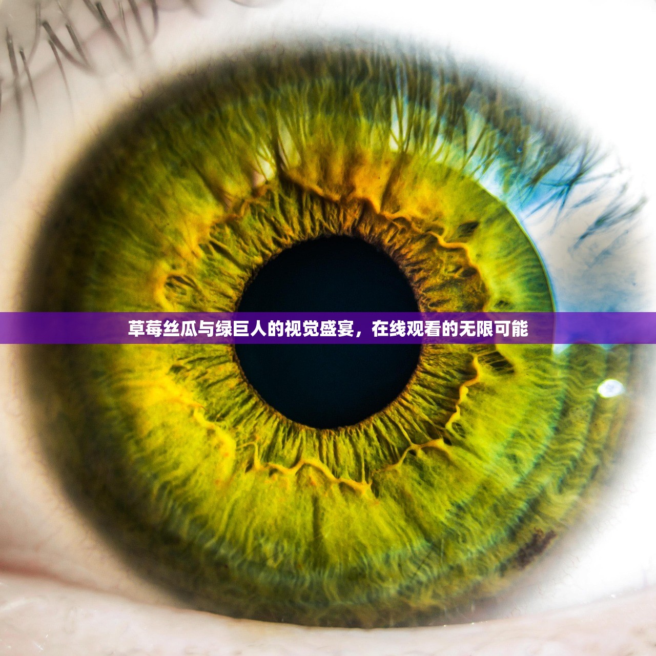 草莓丝瓜与绿巨人的视觉盛宴，在线观看的无限可能