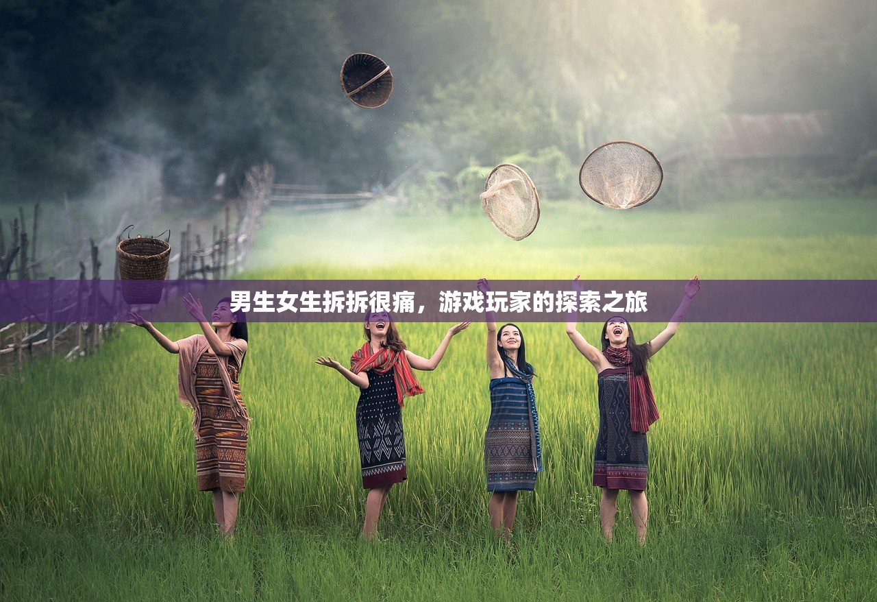 男生女生拆拆很痛，游戏玩家的探索之旅