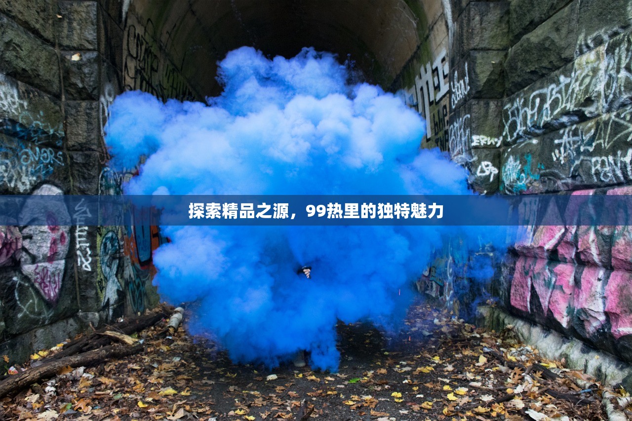 探索精品之源，99热里的独特魅力