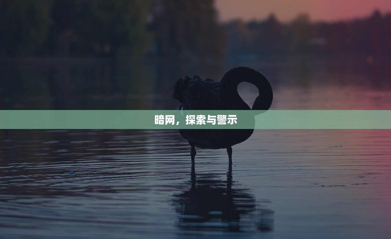 暗网，探索与警示