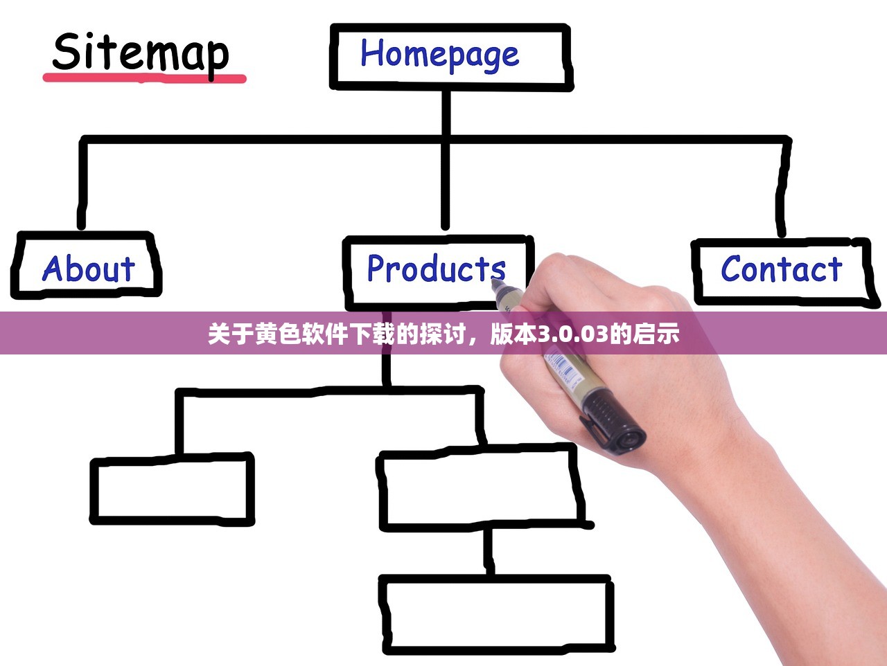 关于黄色软件下载的探讨，版本3.0.03的启示