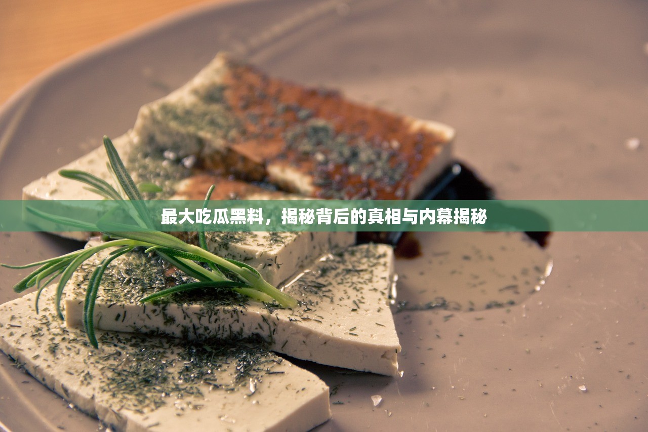 最大吃瓜黑料，揭秘背后的真相与内幕揭秘