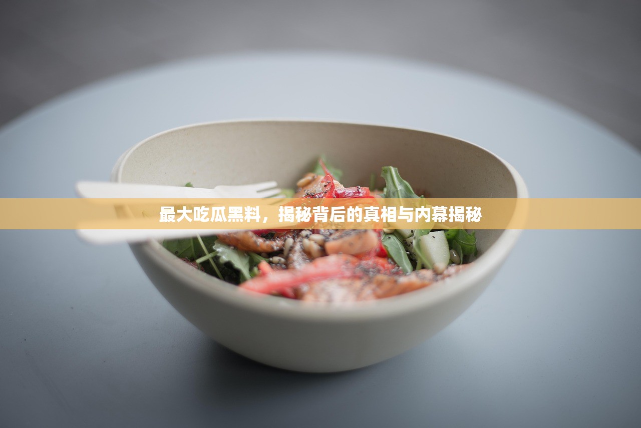 最大吃瓜黑料，揭秘背后的真相与内幕揭秘