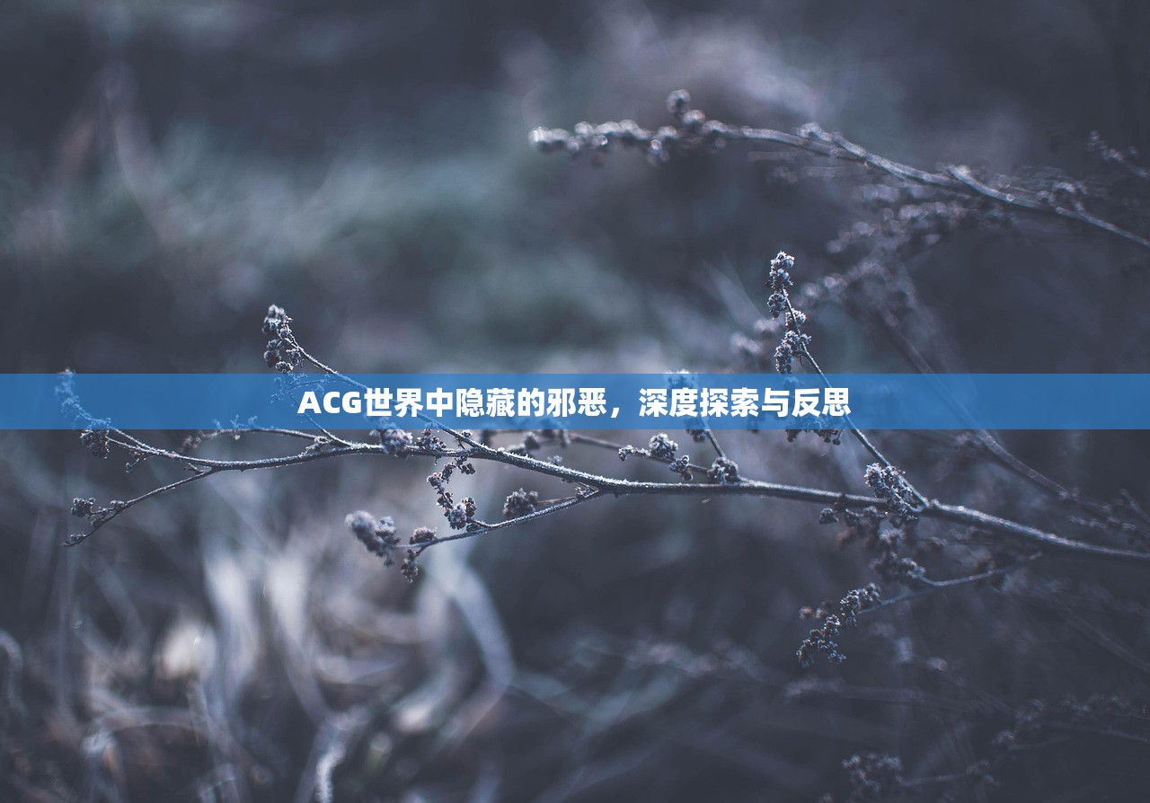 ACG世界中隐藏的邪恶，深度探索与反思