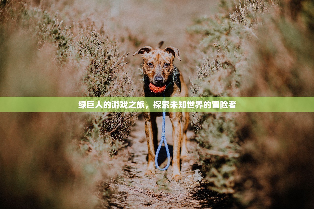 绿巨人的游戏之旅，探索未知世界的冒险者