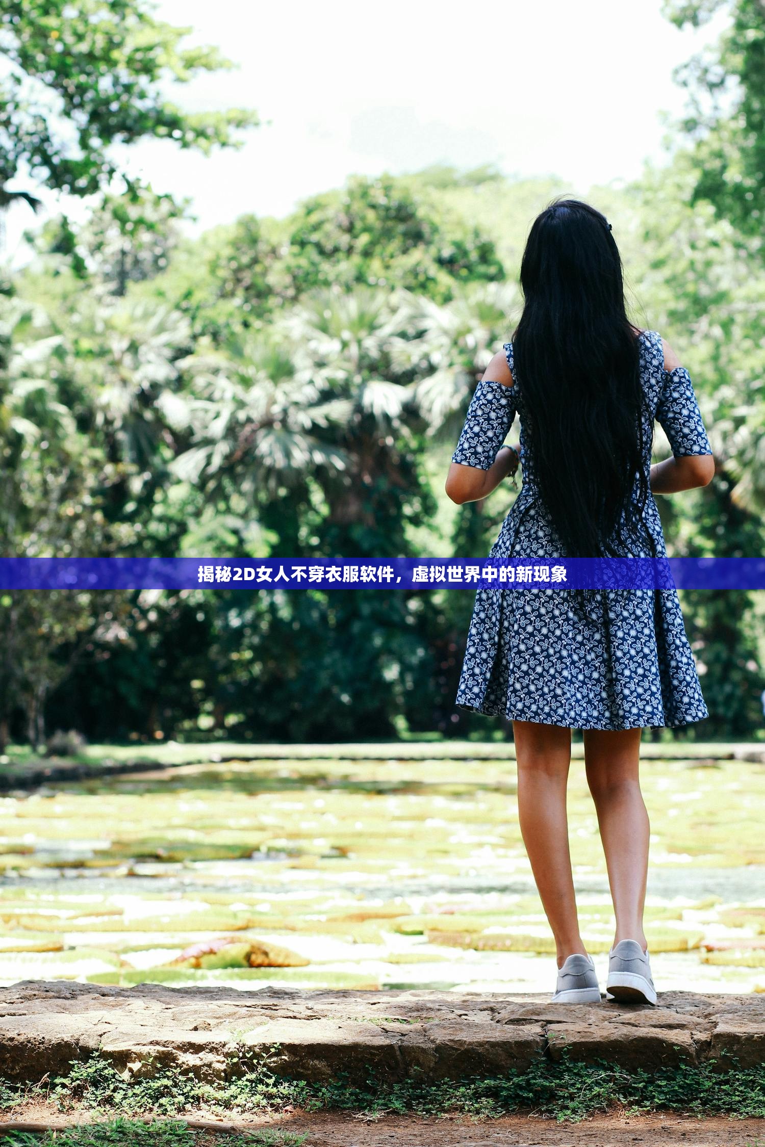 揭秘2D女人不穿衣服软件，虚拟世界中的新现象