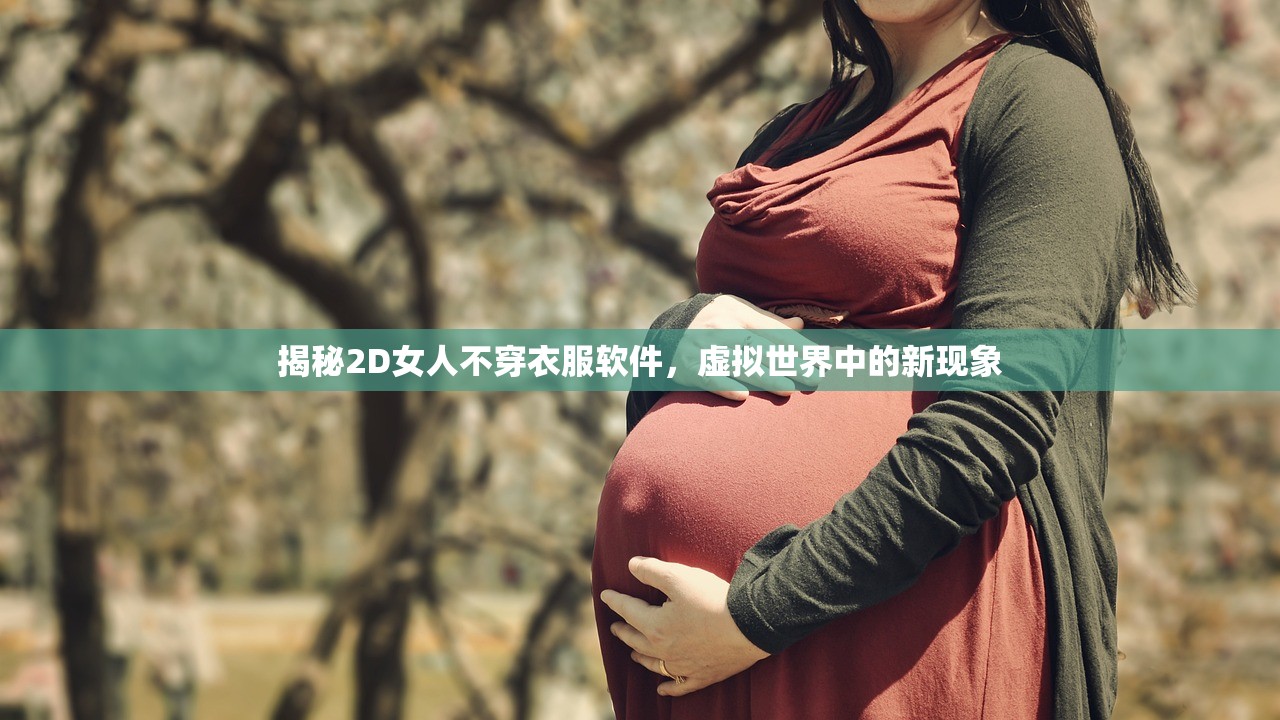 揭秘2D女人不穿衣服软件，虚拟世界中的新现象