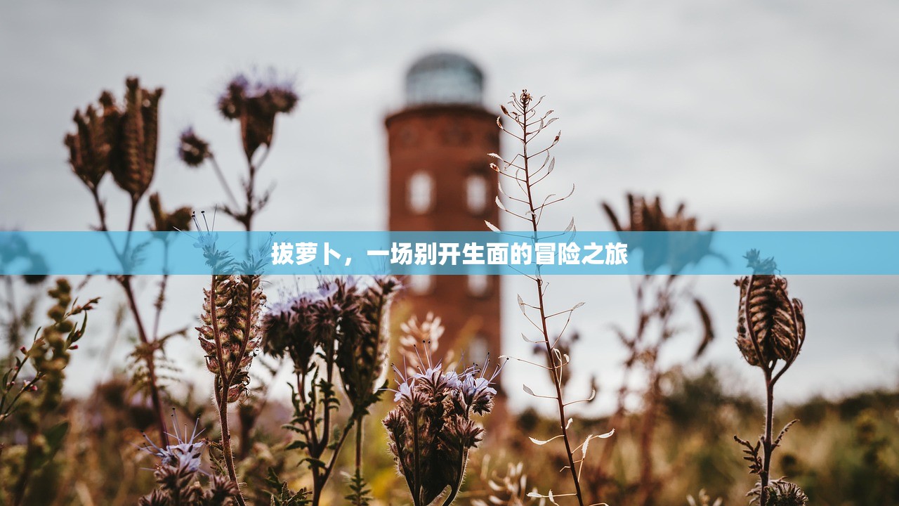 拔萝卜，一场别开生面的冒险之旅