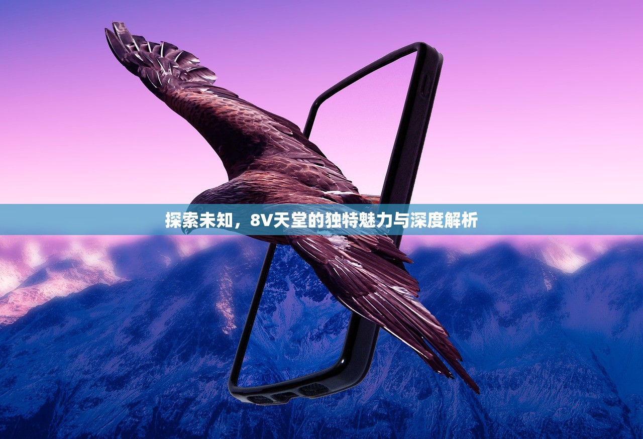 探索未知，8V天堂的独特魅力与深度解析