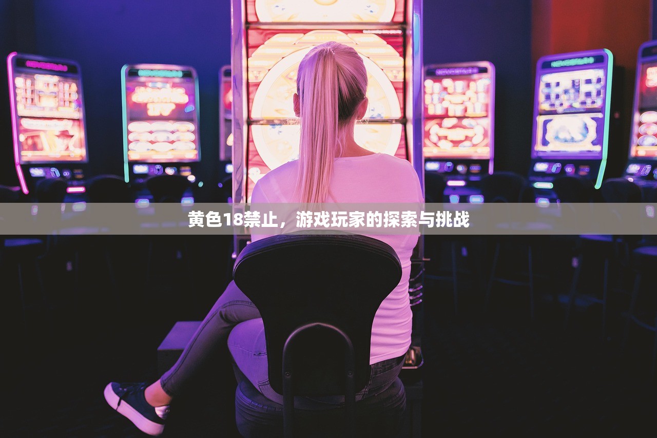 黄色18禁止，游戏玩家的探索与挑战
