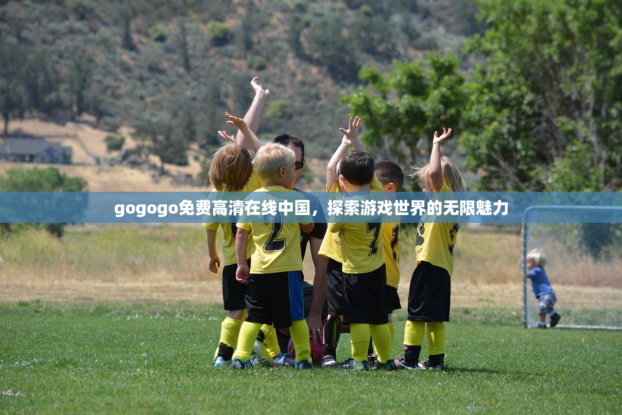 gogogo免费高清在线中国，探索游戏世界的无限魅力