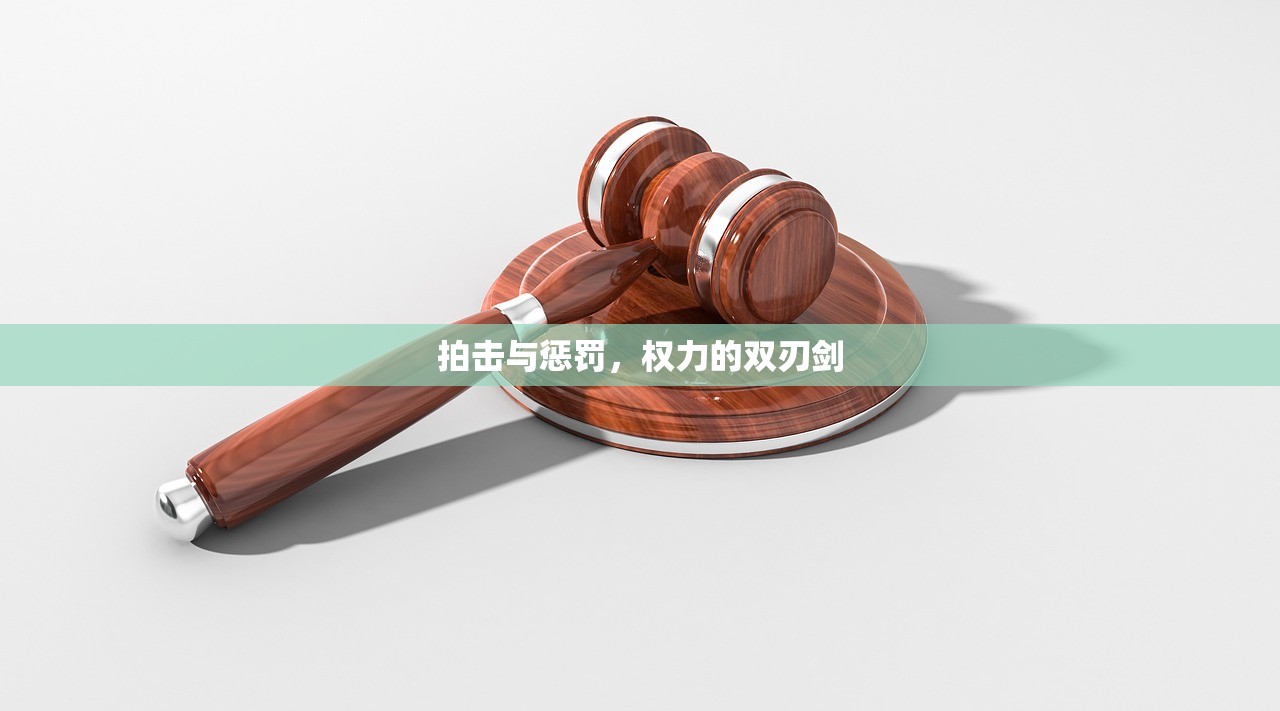 拍击与惩罚，权力的双刃剑