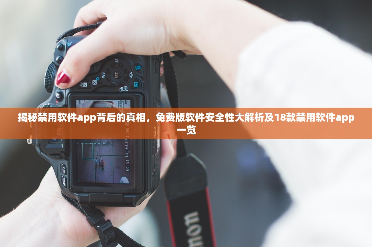 揭秘禁用软件app背后的真相，免费版软件安全性大解析及18款禁用软件app一览