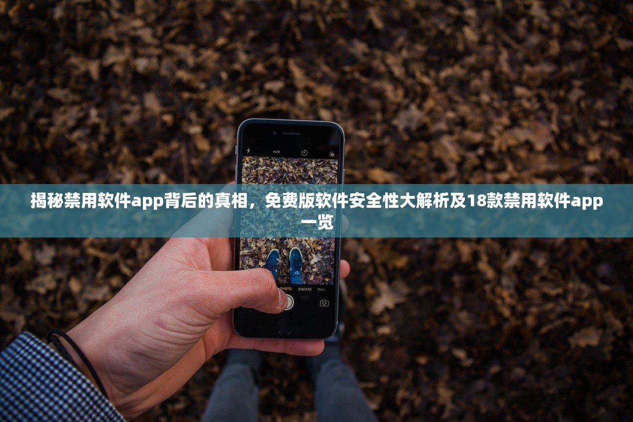 揭秘禁用软件app背后的真相，免费版软件安全性大解析及18款禁用软件app一览