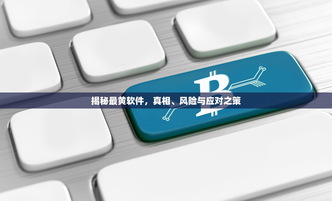 揭秘最黄软件，真相、风险与应对之策