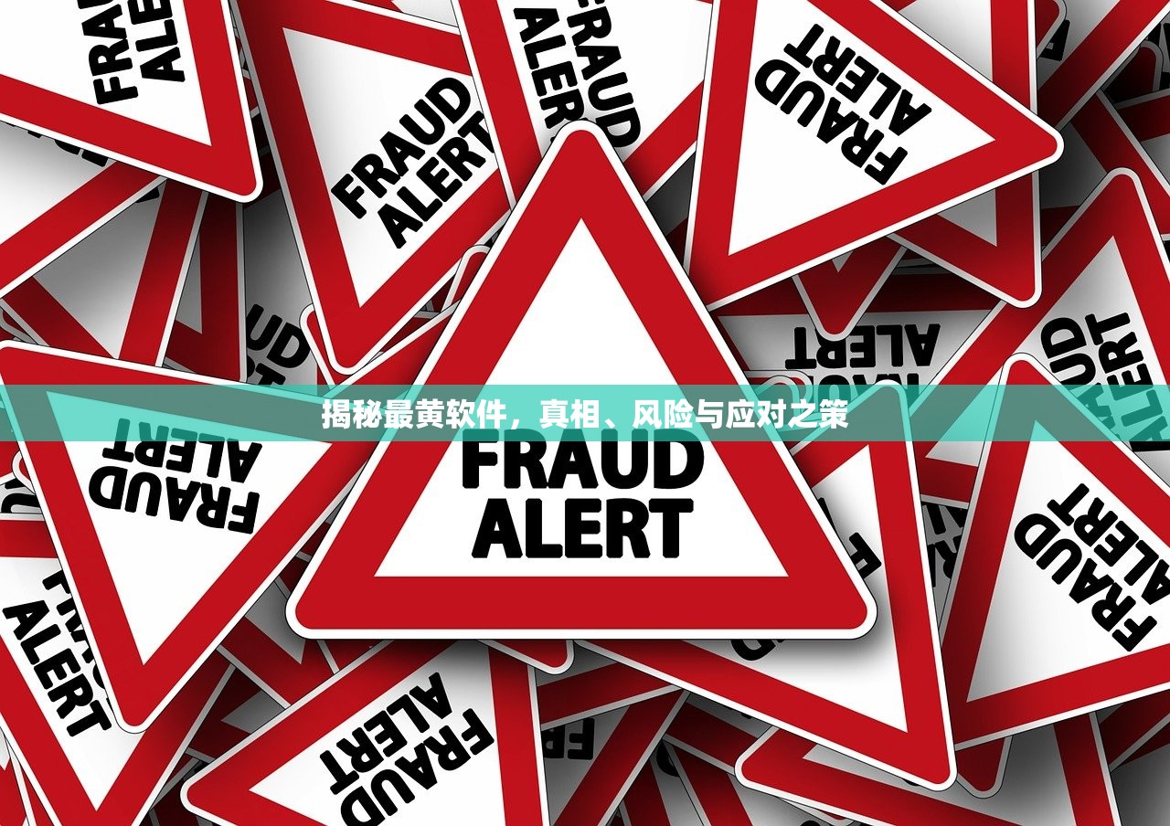 揭秘最黄软件，真相、风险与应对之策
