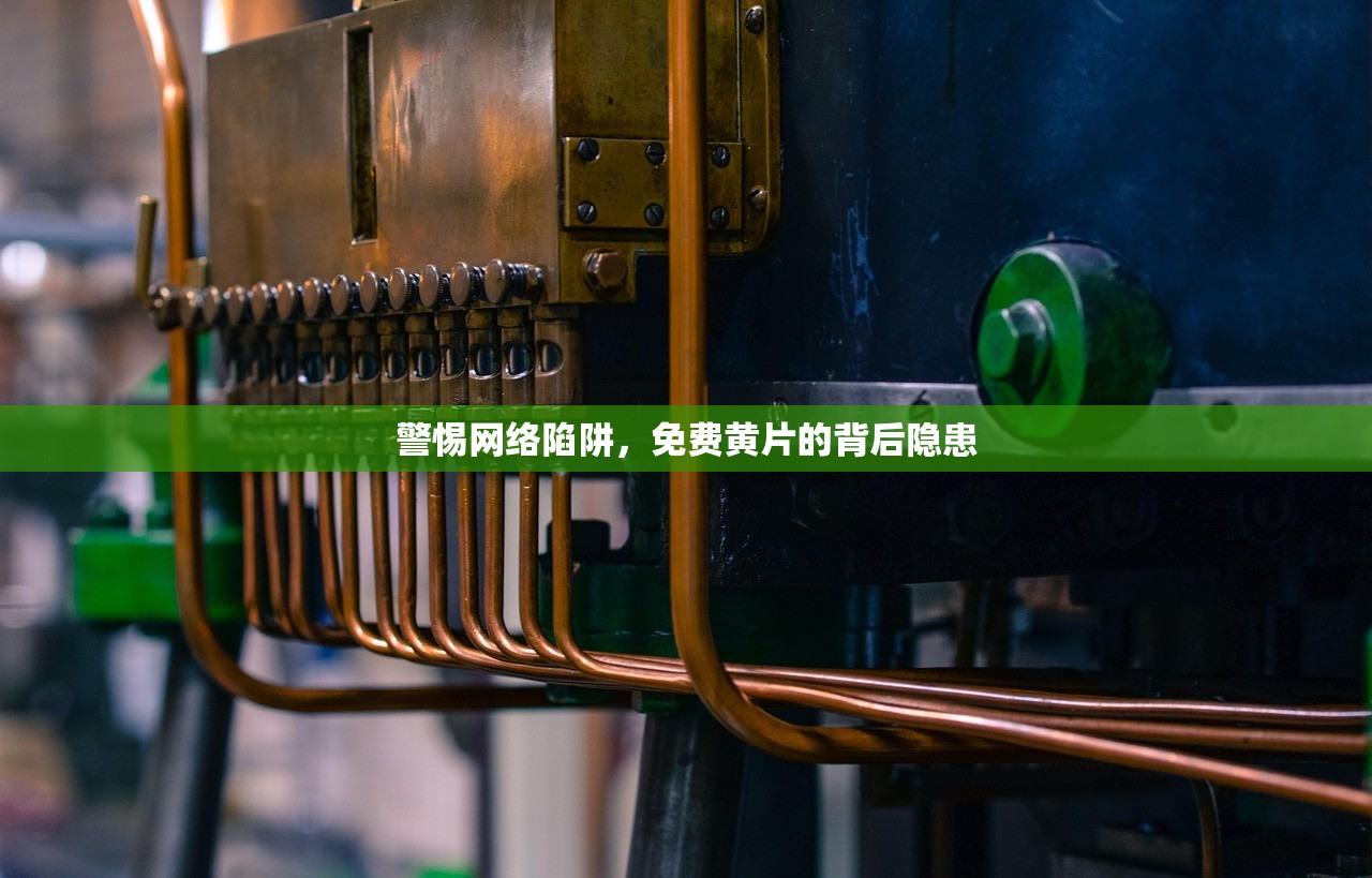 警惕网络陷阱，免费黄片的背后隐患