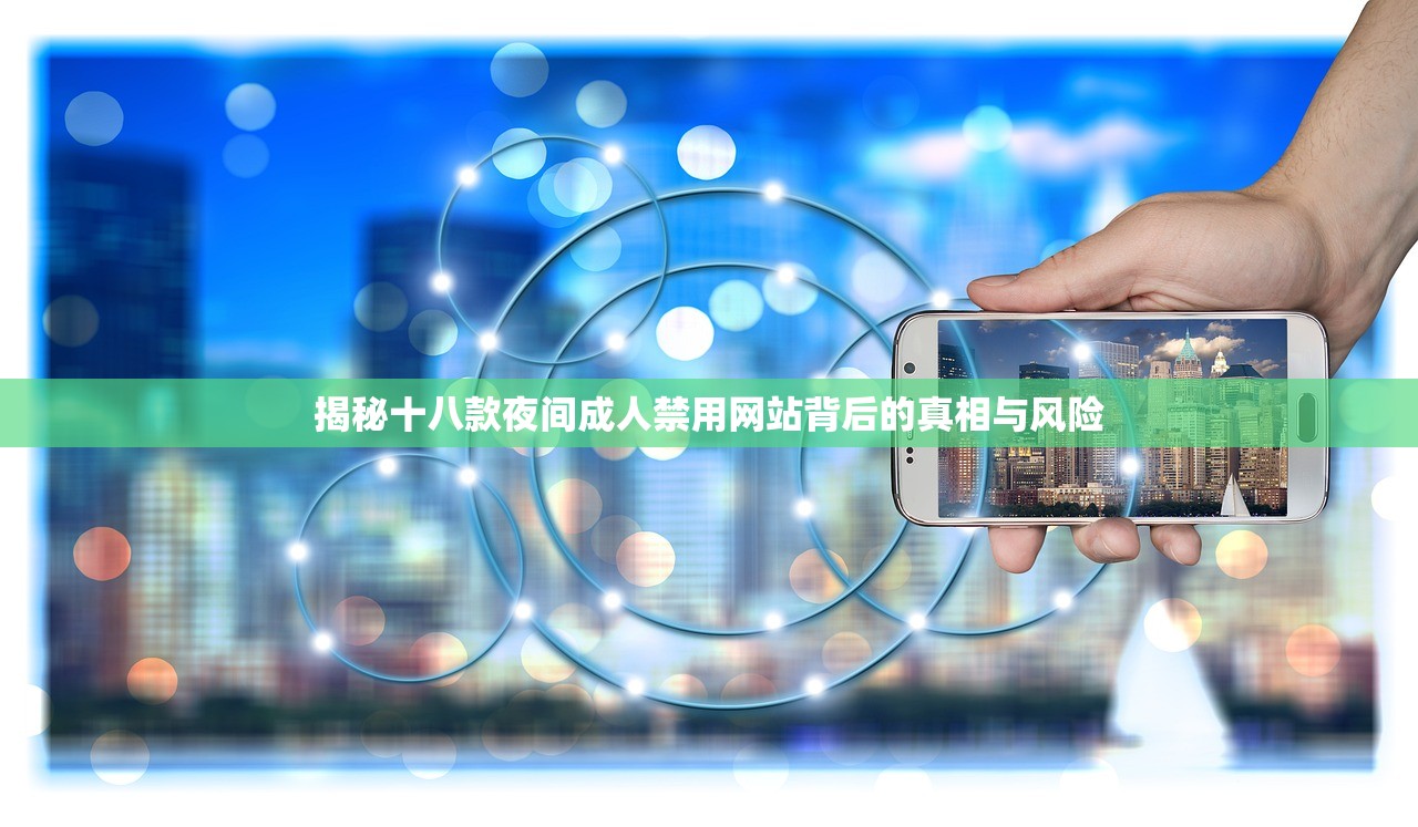 揭秘十八款夜间成人禁用网站背后的真相与风险