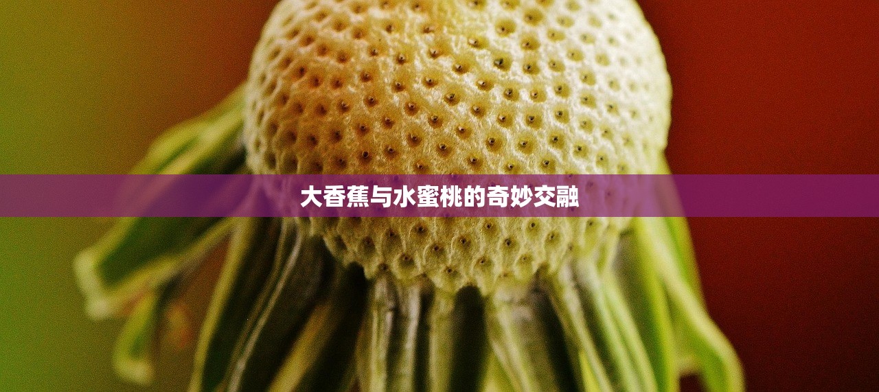 大香蕉与水蜜桃的奇妙交融