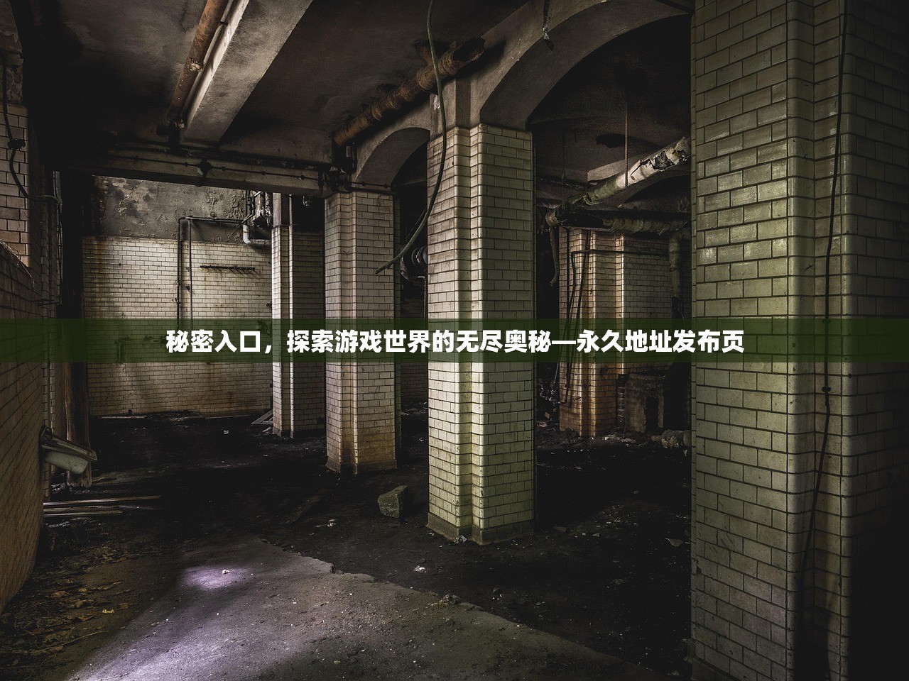 秘密入口，探索游戏世界的无尽奥秘—永久地址发布页
