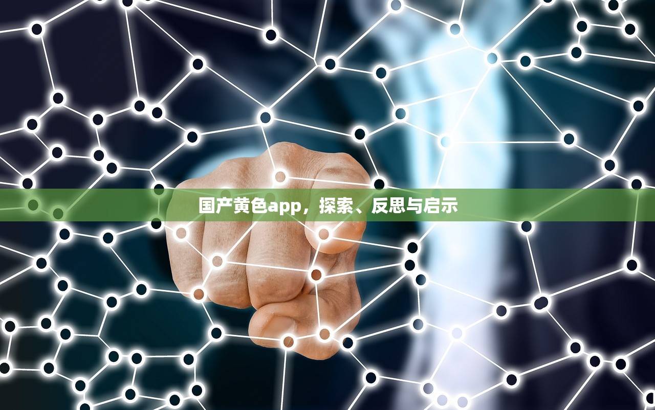 国产黄色app，探索、反思与启示