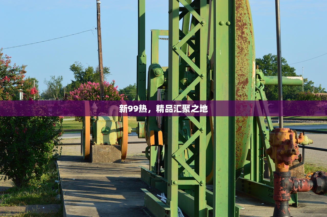 新99热，精品汇聚之地