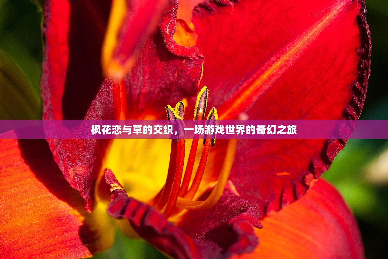 枫花恋与草的交织，一场游戏世界的奇幻之旅