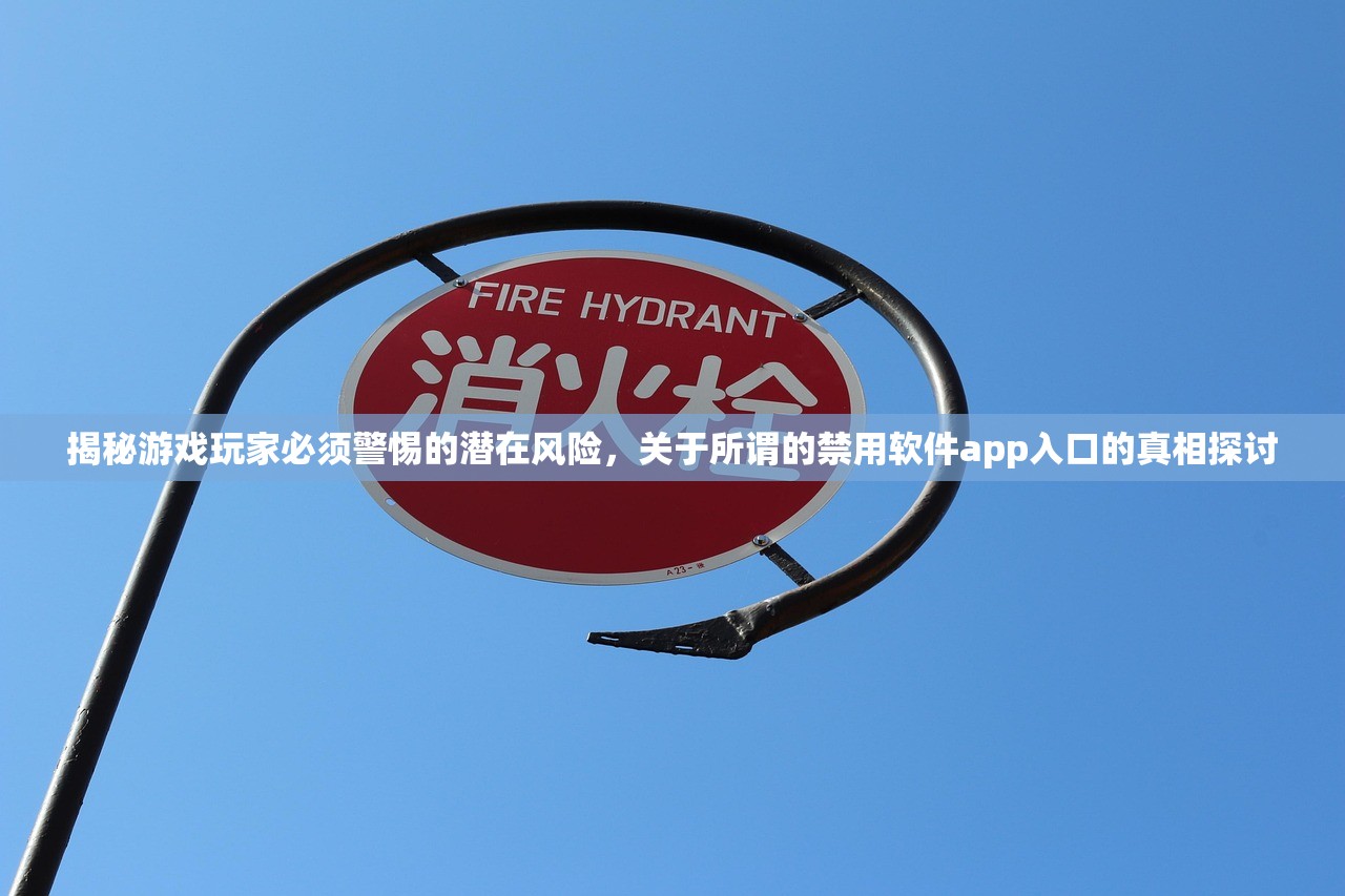 揭秘游戏玩家必须警惕的潜在风险，关于所谓的禁用软件app入口的真相探讨
