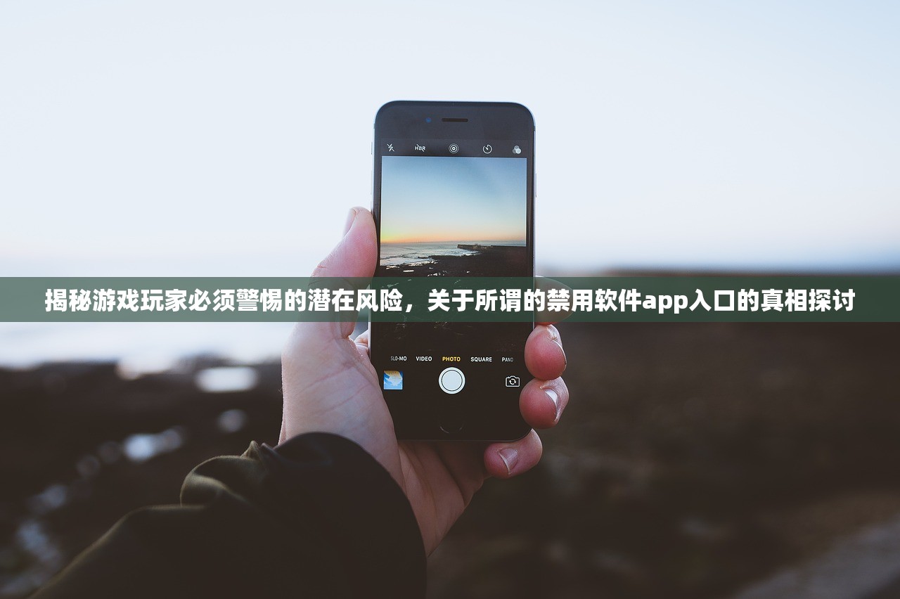 揭秘游戏玩家必须警惕的潜在风险，关于所谓的禁用软件app入口的真相探讨