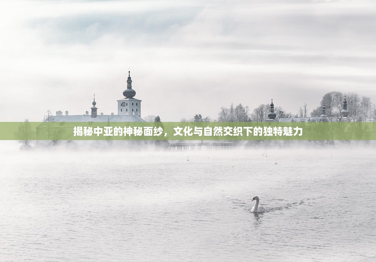 揭秘中亚的神秘面纱，文化与自然交织下的独特魅力