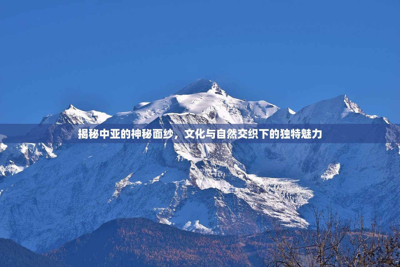 揭秘中亚的神秘面纱，文化与自然交织下的独特魅力