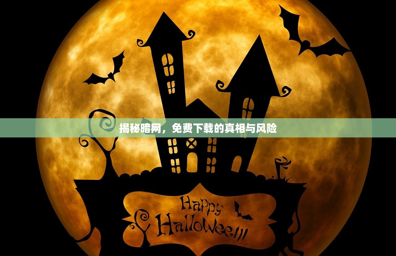 揭秘暗网，免费下载的真相与风险