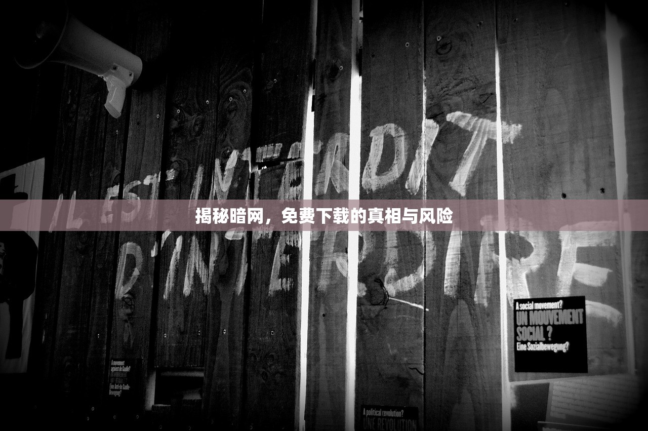 揭秘暗网，免费下载的真相与风险