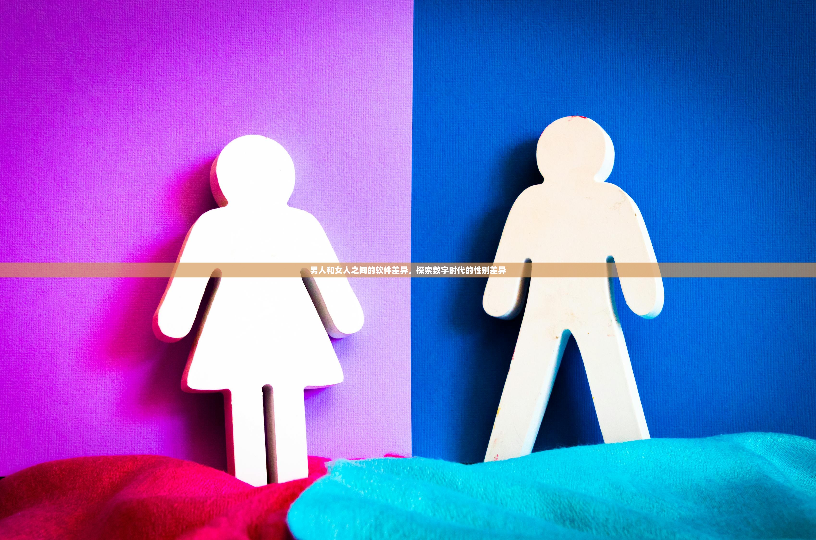 男人和女人之间的软件差异，探索数字时代的性别差异