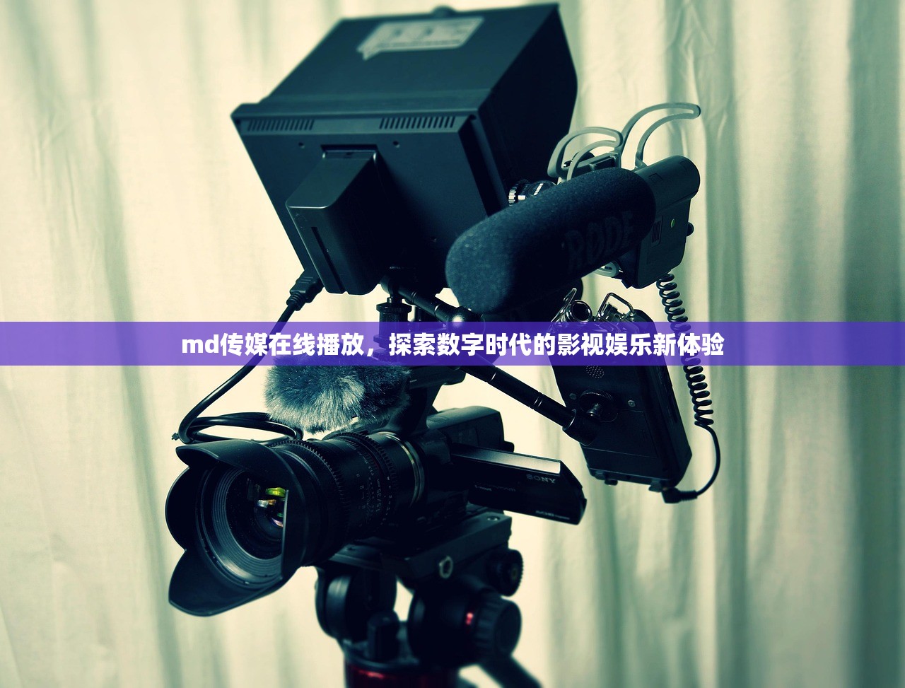md传媒在线播放，探索数字时代的影视娱乐新体验