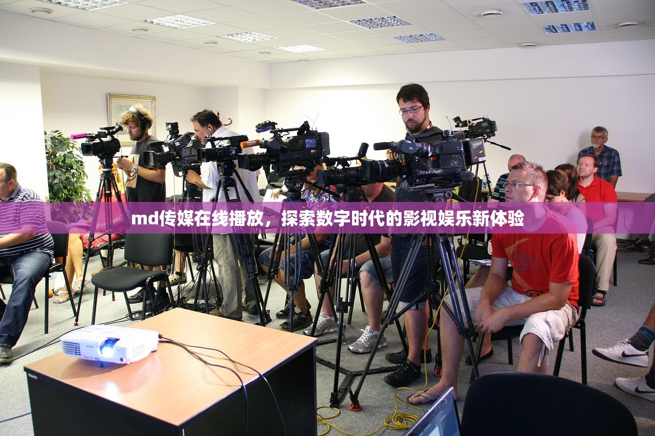 md传媒在线播放，探索数字时代的影视娱乐新体验