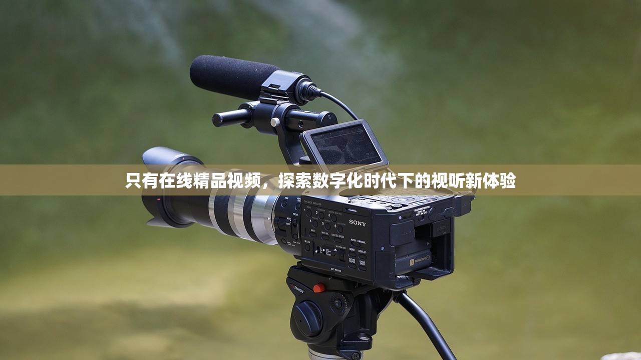 只有在线精品视频，探索数字化时代下的视听新体验