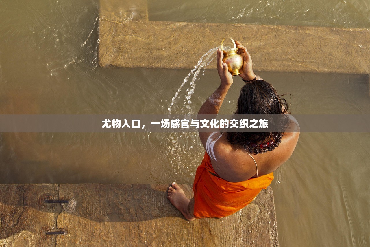 尤物入口，一场感官与文化的交织之旅