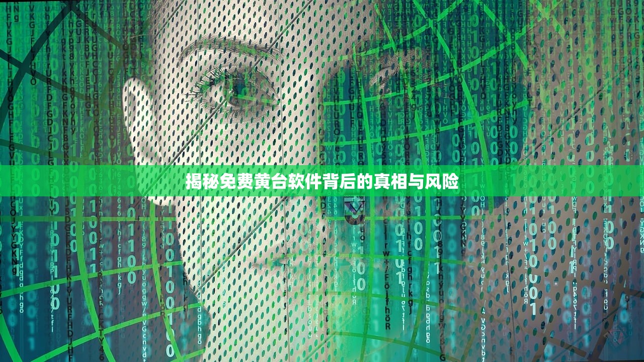 揭秘免费黄台软件背后的真相与风险