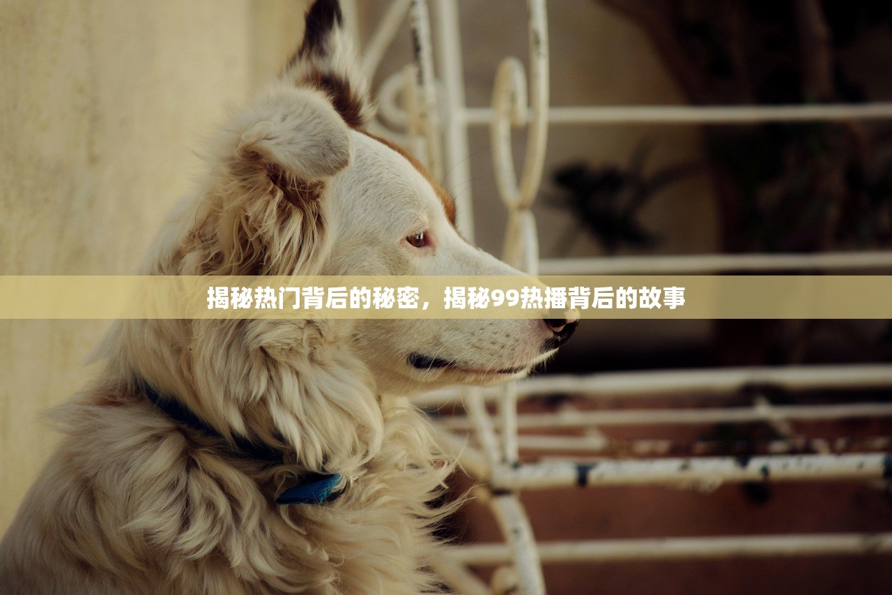 揭秘热门背后的秘密，揭秘99热播背后的故事
