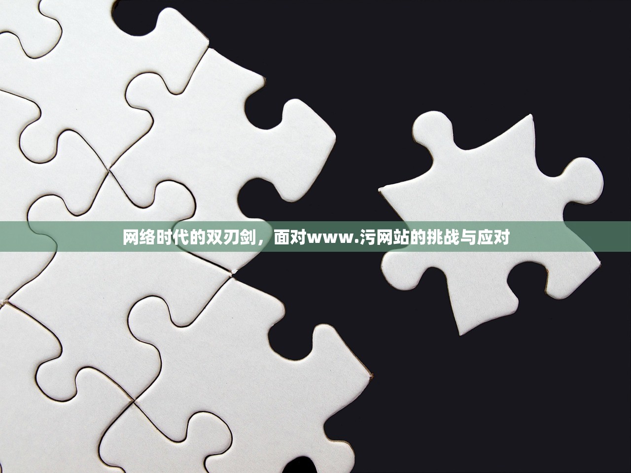 网络时代的双刃剑，面对www.污网站的挑战与应对