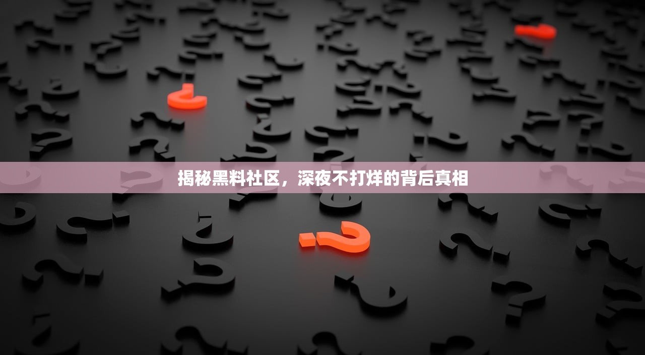 揭秘黑料社区，深夜不打烊的背后真相