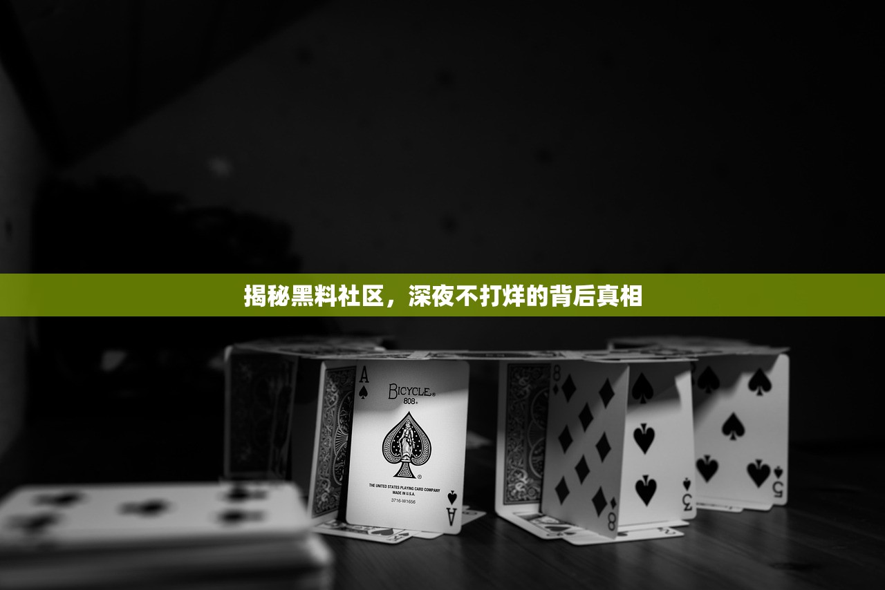 揭秘黑料社区，深夜不打烊的背后真相