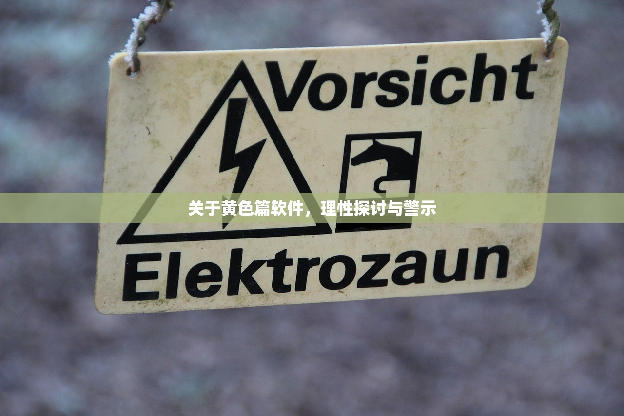 关于黄色篇软件，理性探讨与警示